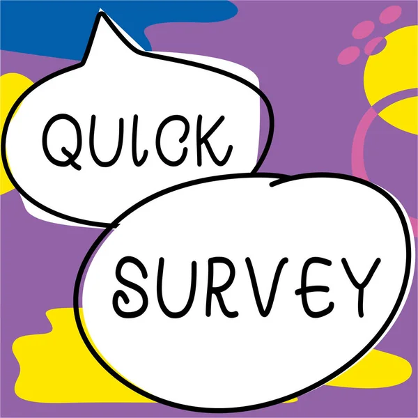 Conceptual Caption Quick Survey Concept Meaning Realizar Una Comprobación Rápida — Foto de Stock
