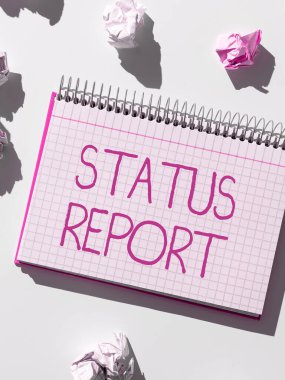 El Yazısı Durum Raporu, İş Genel Görünümü Güncelleme Durum Özeti