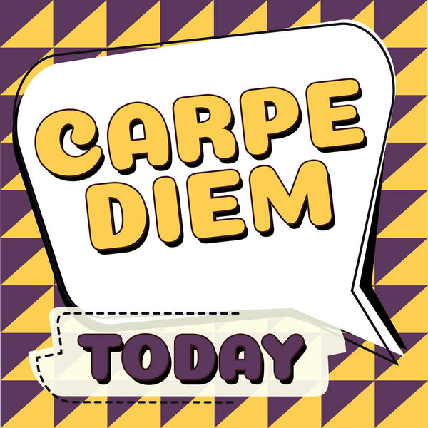 Text sign showing Carpe Diem, Word Written on public festival which people play music and dance