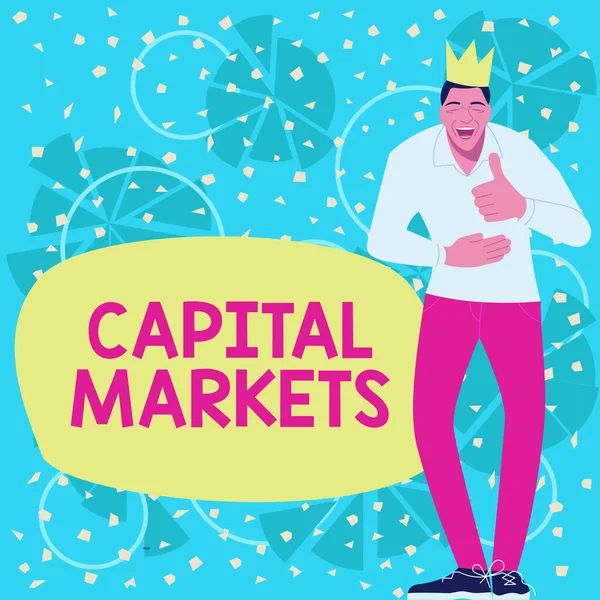 Konceptvisning Kapitalmarknader Konceptfoto Tillåt Företag Att Anskaffa Medel Genom Att — Stockfoto