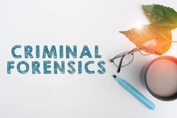 Esposizione Concettuale Criminal Forensics Business Concept Federal Offense Actions Attività — Foto Stock