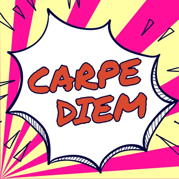 Handschrift Text Carpe Diem Business Konzept Öffentliches Festival Bei Dem — Stockfoto