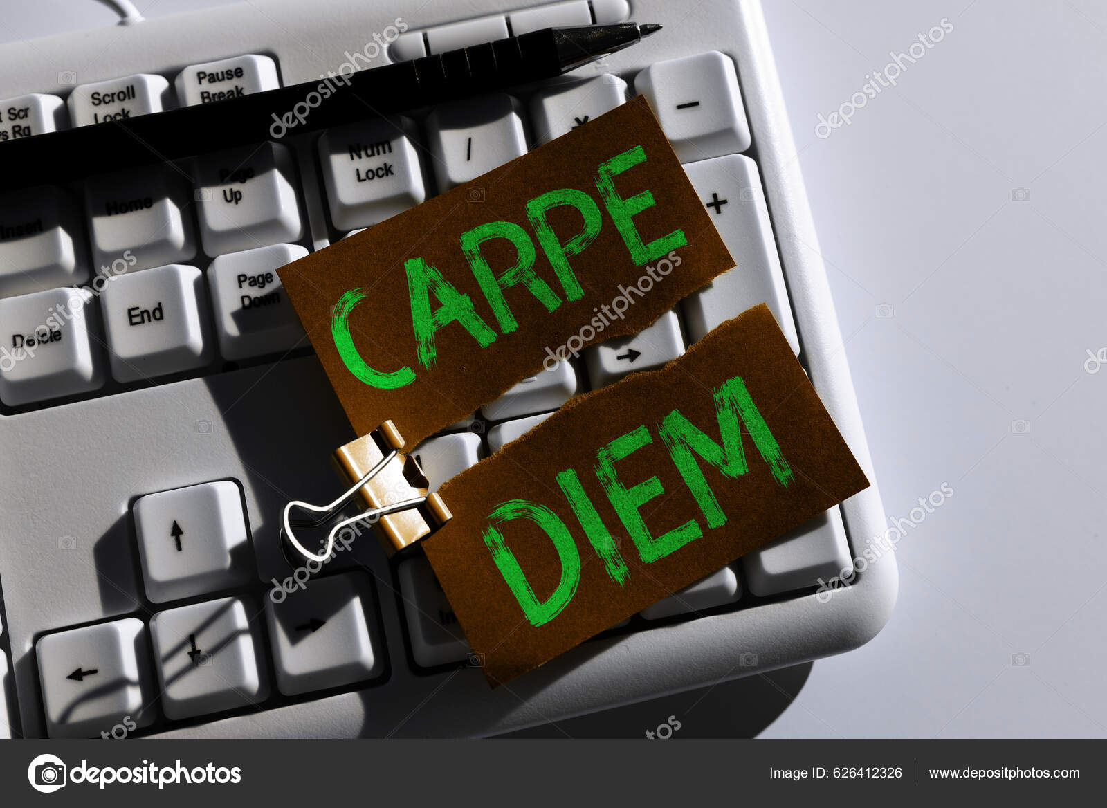 Text showing inspiration Carpe Diem. Concept meaning public