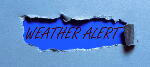 Escrevendo Exibindo Texto Weather Alert Internet Concept Alerta Urgente Sobre — Fotografia de Stock