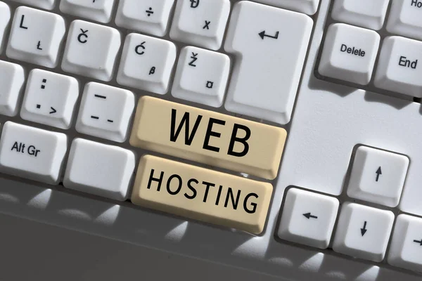 Text caption presenting Web Hosting, Business overview The activity of providing storage space and access for websites