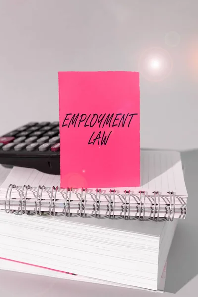 Inspiration showing sign Employment Law, Business idea deals with legal rights and duties of employers and employees