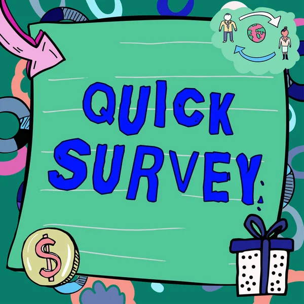 Conceptuele Bijschrift Quick Survey Business Idee Voer Snelle Controle Conditie — Stockfoto