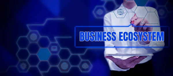 Ručně Psané Znamení Business Ecosystem Business Overview Vypracovat Implementovat Růstové — Stock fotografie