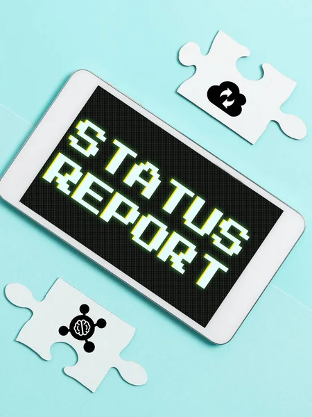 텍스트보여 Status Report Business Idea Update Summary Situation Period Time — 스톡 사진