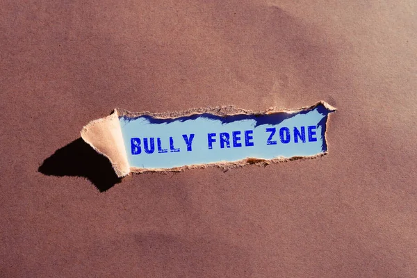 Text Bildtext Som Presenterar Bully Free Zone Business Approach Var — Stockfoto