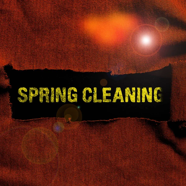 Schrijven Weergeven Van Tekst Spring Cleaning Internet Concept Praktijk Van — Stockfoto