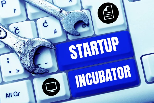 손으로 Startup Incubator Concept 비즈니스의 재정적 이득을 수있는 개념을 — 스톡 사진