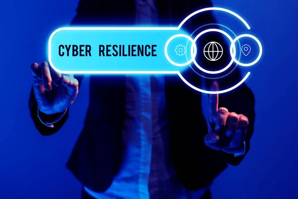 사이버 공격을 얼마나 관리할 수있는지에 비즈니스 Cyber Resilience Business Overview — 스톡 사진