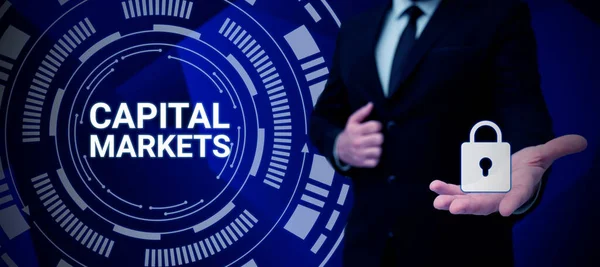 Skriva Text Kapitalmarknader Internetkoncept Tillåta Företag Att Anskaffa Medel Genom — Stockfoto