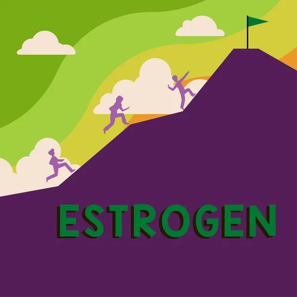 Titulek Textu Prezentující Estrogen Obchodní Přístup Skupina Hormonů Podporuje Rozvoj — Stock fotografie