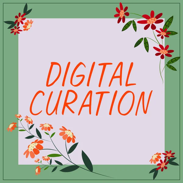 Konceptuell Bildtext Digital Curation Business Approach Underhåll Insamling Och Arkivering — Stockfoto