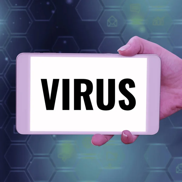 인포팅 Virus Business Overview Infective Agent 단백질 코트에 분자로 구성되어 — 스톡 사진
