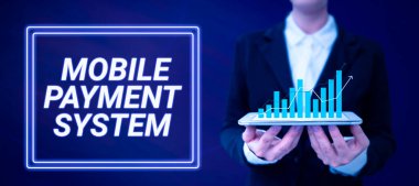 Mobil Ödeme Sistemi, İş Genel Bakış Ödeme Servisi 'nin mobil aygıtlar aracılığıyla yapıldığı ilham kaynağı