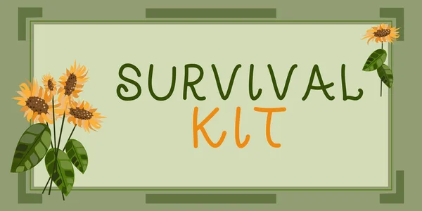 Writing displaying text Survival Kit, Business showcase Emergency Equipment Collection of items to help someone