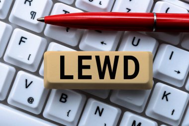 Yazıda Lewd 'un internet kavramının müstehcen, kaba ve saldırgan olduğu yazıyor.