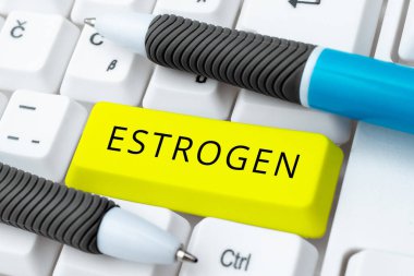 Kavramsal Östrojen ve İş yaklaşım Hormonları Grubu, kadın özelliklerinin gelişimini teşvik eder