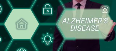 Metin Alzheimer Hastalıkları, İş Yaklaşımı Yaşlılıkta Gelişmiş Zihinsel Bozukluklar