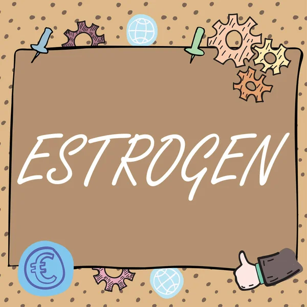 Titulek Textu Prezentující Estrogen Koncept Znamená Skupina Hormonů Podporovat Rozvoj — Stock fotografie