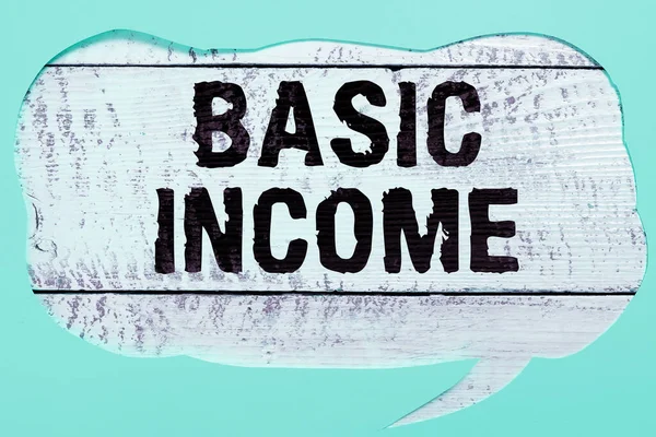 Sign Displaying Basic Income Business Overview Periodic Cash Payment Unconditionally — Stock Photo, Image