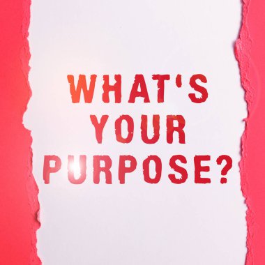 Bir şeyin neden yapıldığını ya da ne için var olduğunu anlamak için 