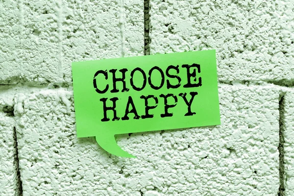 Handschrift Teken Kies Happy Business Idee Vermogen Echt Duurzaam Geluk — Stockfoto
