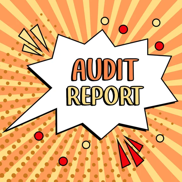 Audit Report 텍스트 비즈니스 자산의 — 스톡 사진