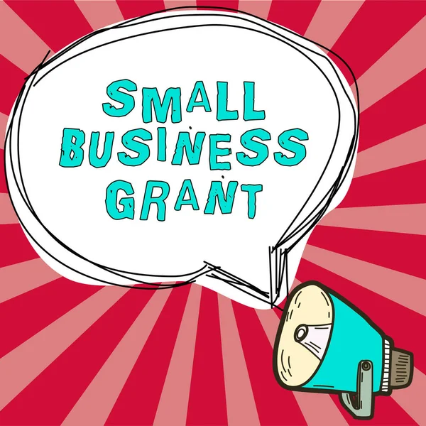 Tekst Pisma Ręcznego Small Business Grant Conceptual Photo Firma Indywidualna — Zdjęcie stockowe