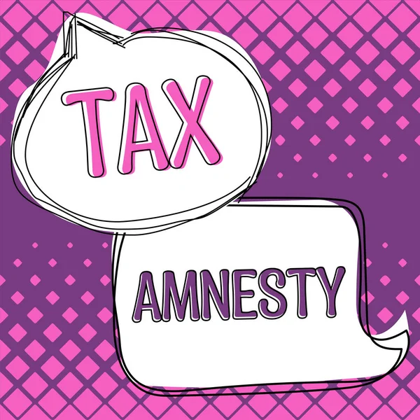 Texto Que Presenta Amnistía Fiscal Visión General Del Negocio Oportunidad — Foto de Stock