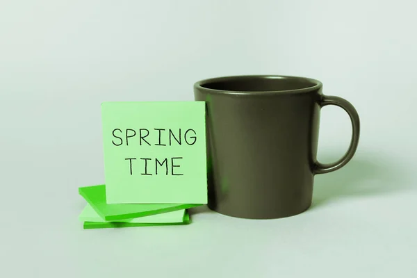 Writing Displaying Text Spring Time Word Written Temperate Season Year — Stock Photo, Image