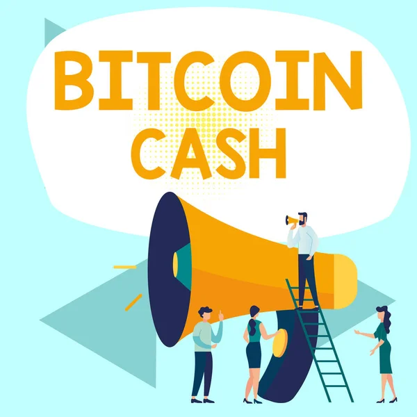 Signe Écriture Main Bitcoin Cash Vitrine Affaires Type Crypto Monnaie — Photo