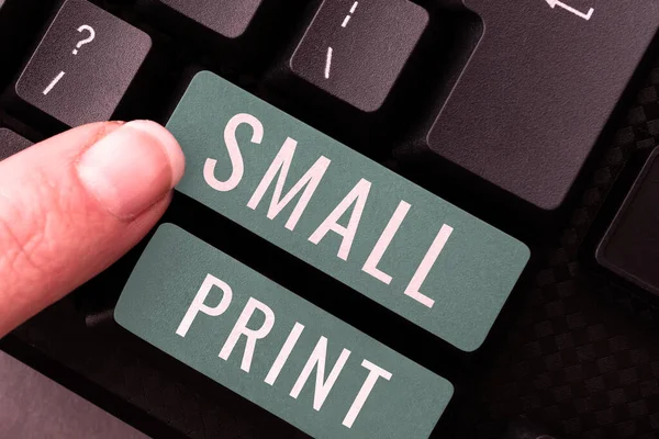 Testo Che Mostra Ispirazione Small Print Business Overview Document Che — Foto Stock