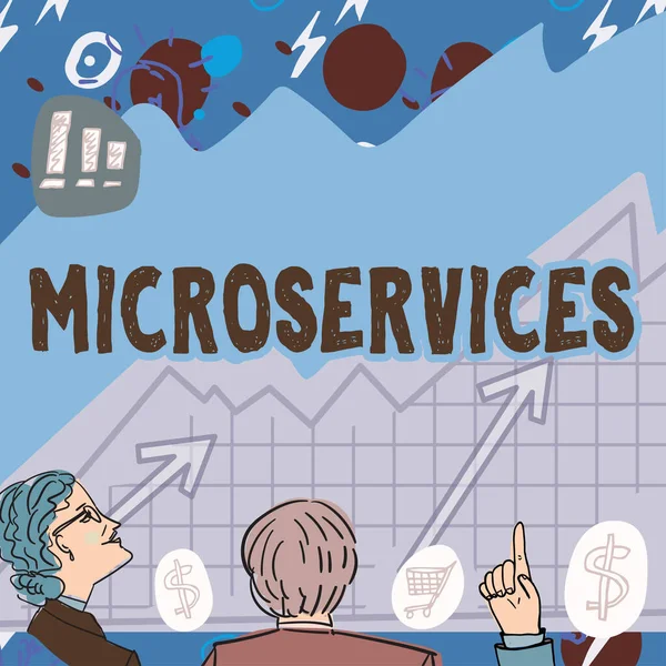 Microservices Gösterimi Kavram Anlamı Yazılım Geliştirme Tekniği Tek Fonksiyon Modülü — Stok fotoğraf