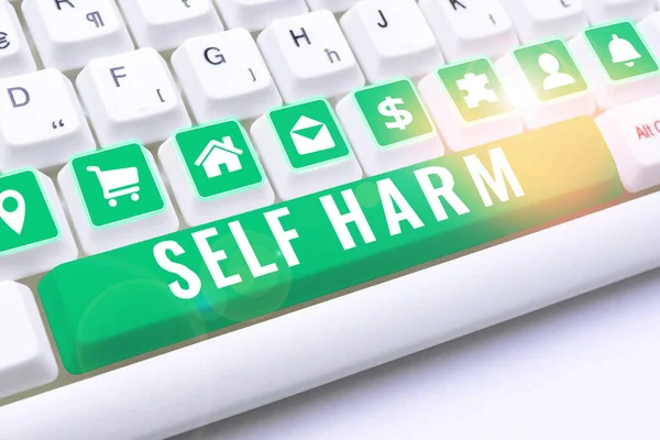 Text sign showing Self Harm, Business approach state of health and well-being and the ability to perform