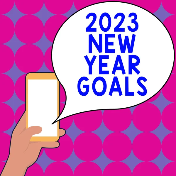 Text Sign Showing 2023 New Year Goals Business Showcase Resolutions — Stock Photo, Image