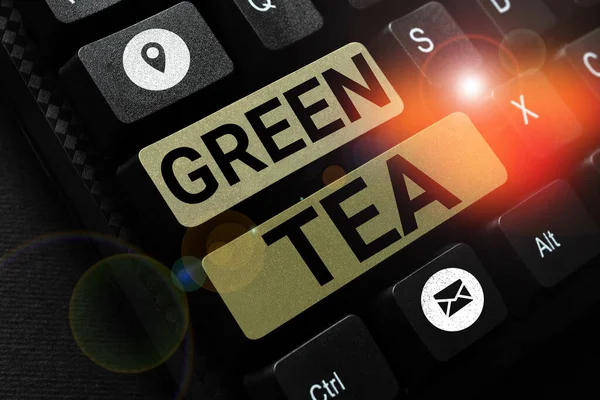 概念展示绿茶 概念照片类型的茶 由茶树叶和芽制成 — 图库照片