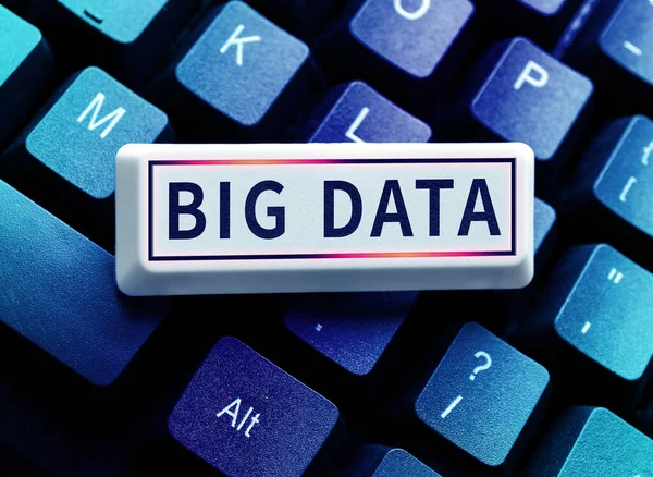 Texto Escrito Mão Big Data Visão Geral Negócio Define Que — Fotografia de Stock