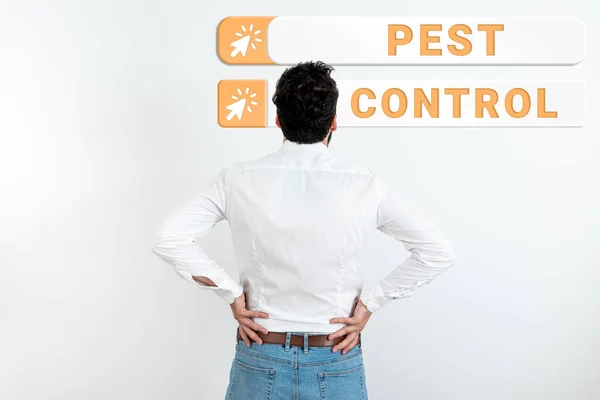 Konceptvisning Pest Control Affärsidé Döda Destruktiva Insekter Som Angriper Grödor — Stockfoto
