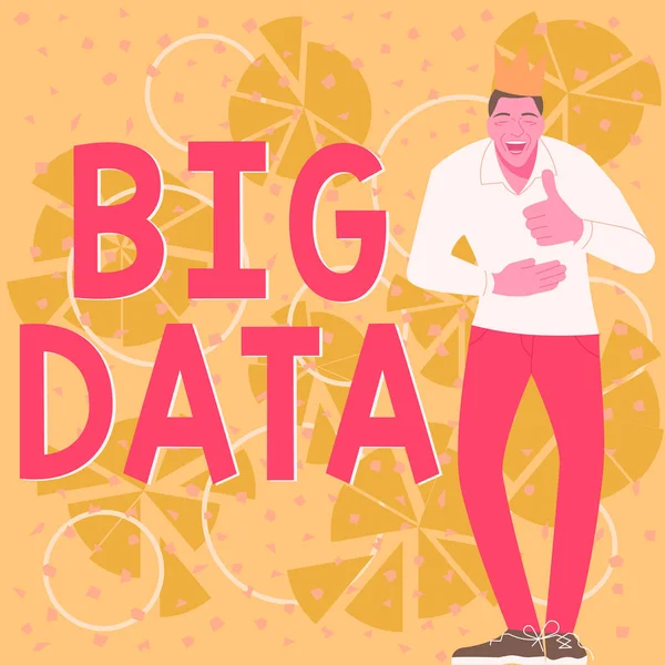 Handschrifttekst Big Data Business Idee Stelt Dat Complex Dat Traditionele — Stockfoto