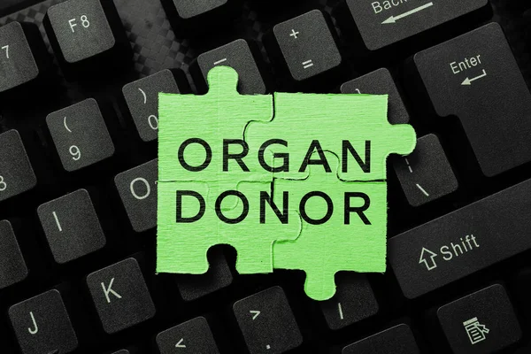 Conceptual display Organ Donor, Conceptual photo A person who offers an organ from their body for transplantation