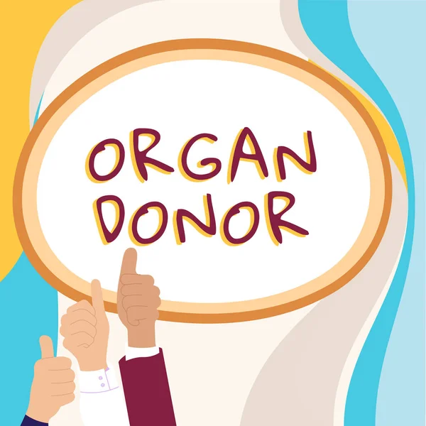 Conceptual caption Organ Donor, Business concept A person who offers an organ from their body for transplantation