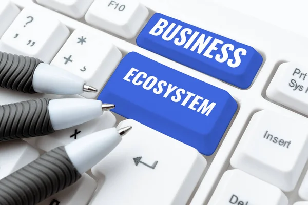 Ecossistema Negócios Visão Geral Negócios Desenvolver Implementar Oportunidades Crescimento Organização — Fotografia de Stock