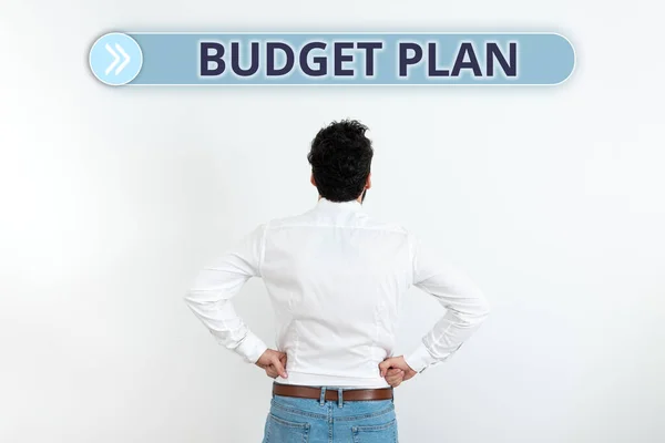 Inspiração Mostrando Sinal Plano Orçamento Internet Concept Calendário Financeiro Para — Fotografia de Stock