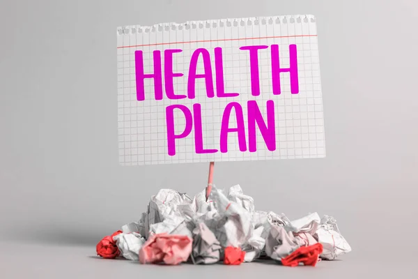 概念表示健康計画 そのメンバーに医療サービスを提供する任意の戦略に書かれた言葉 — ストック写真