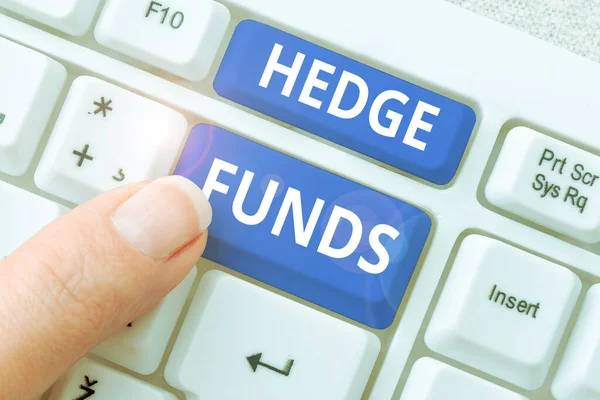 Testo Didascalia Che Presenta Hedge Funds Internet Concept Fondamentalmente Nome — Foto Stock
