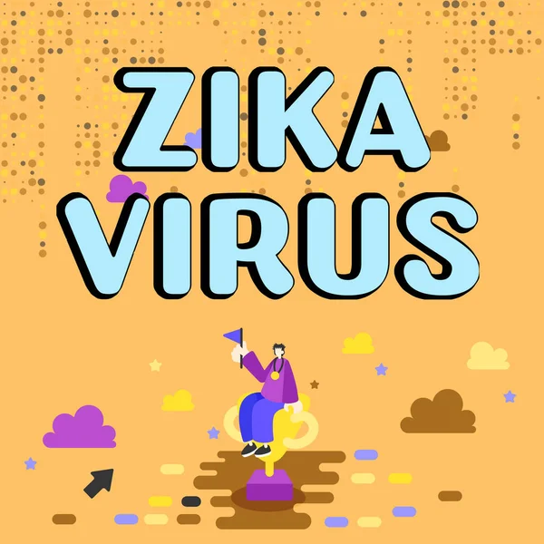 Skriva Visa Text Zika Virus Affärsöversikt Som Orsakas Ett Virus — Stockfoto